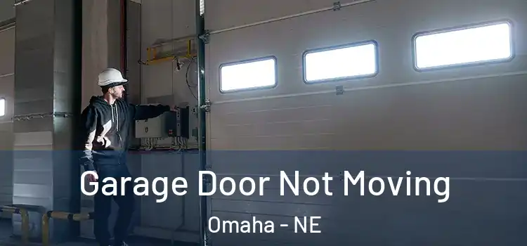  Garage Door Not Moving Omaha - NE