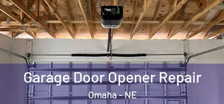  Garage Door Opener Repair Omaha - NE